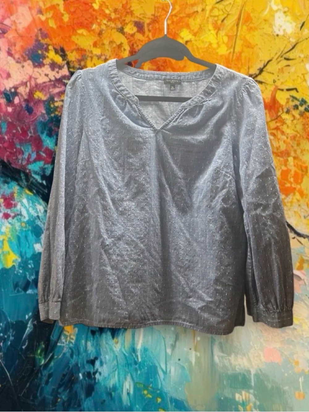 Women’s Silver Long-Sleeve V-Neck Blouse